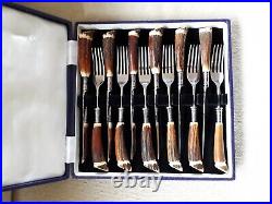 Vintage Sandersons 6 Antler Steak Knife & Fork Set in Original Case VGC